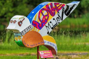 Let The Doves Fly – How Hadassah is a Lifechanging Moment in My Life