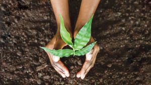 “Mid-Day Opinion: Governments must go green in the truest sense”