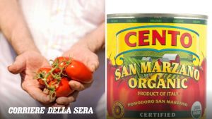 Negli Usa una class action contro il pomodoro pelato non Dop definito «San Marzano»