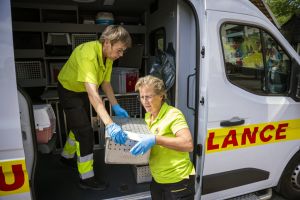 De mussen vallen letterlijk van het dak in Rotterdam. ‘We moeten ons schrap zetten’