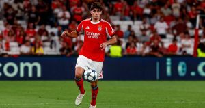 António Silva: cortar o mal pela raiz com o patinho feio