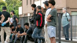 “Da te ordini non ne prendiamo”: cinque maranza minacciano una giovane autista ad Arcore