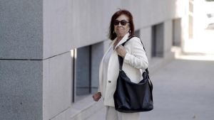 Cristina Narbona explica al juez Pedraz sus mensajes con Leire Díez
