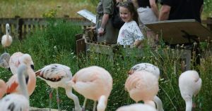 Norfolk’s biggest zoo launches £1 limited-time offer for children this summer