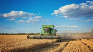 Credito, export e filiera. Agrofutura progetta le Marche di domani