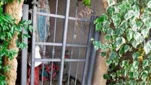 Fango, vasi rotti e fiori strappati: a Cittadella sfregiata la statua della Madonna