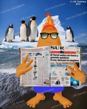 El mar ideal para los pingüinos. ¿Vuelve la calima a Málaga?