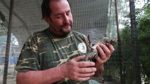“Salvò 400 anatre dal botulino”: addio ad Alberto, il custode degli animali
