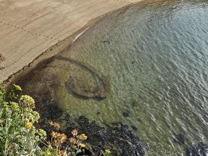 « Difficile de respirer, symptômes grippaux… » : deux Paloises victimes de la microalgue sur la côte basque