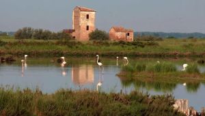 Crisi idrica in Veneto, allerta cuneo salino: stop all’irrigazione dall’Adige
