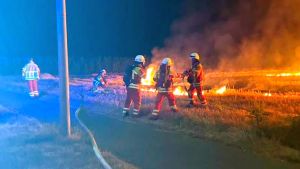 Feuerwehr: Trockenheit lässt Zahl von Wald- und Flächenbränden in die Höhe schnellen