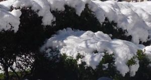 Mount Hermon: Israel’s Alps