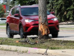 Opinion: Alberta’s Care-First auto insurance reform puts patients first Recovering from a motor vehicle collision can be physically, emotionally, and financially challenging. For many Albertans, access to timely treatment and co-ordinated support can make a significant difference in how quickly and fully they recover.