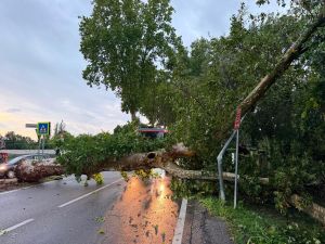 Ferrara, temporali fortissimi e danni: gli aggiornamenti in diretta