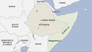 The Horn Of Africa States: The Great Divergence In The Banking Systems – OpEd