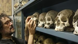’Scimmie, Uomini e Dei’. Teatro e scienza con Ricci