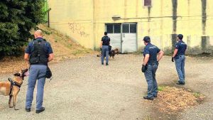 Occupanti abusivi e droga, controlli dentro la Folperti a Pavia