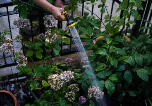 The hosepipe snitches of suburban Ireland: It’s just not very ‘love thy neighbour’