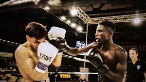 Arti marziali, attesa a Urbania per l’evento di sabato. Adrenalina sul ring: una notte di spettacolo