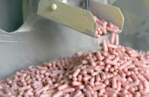 Les Oméga-3 bons pour votre cerveau ? Pourquoi les compléments alimentaires peinent toujours à convaincre les scientifiques
