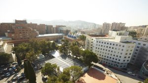 La salut mental perinatal també ha d’existir a Lleida