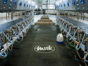 Opinion: Canada's dairy sector is built on what I warn every client against
