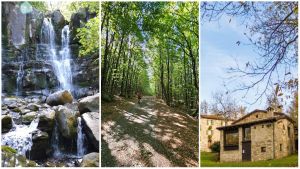 Dove trovare il fresco vicino a Bologna: 5 posti speciali tra fiumi, laghi e cascate