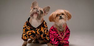 Quand votre chien s’habille en Prada… Les marques de luxe surfent sur votre affect pour vous vendre leurs produits
