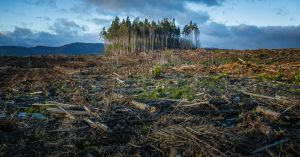 How to Grieve a Changing Planet
