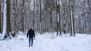 Jeg fejrede jul uden mine forældre. De havde stadig masser af gode år at give af, tænkte jeg. Beslutningen vil følge mig resten af livet