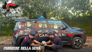 Abbandona in strada rifiuti