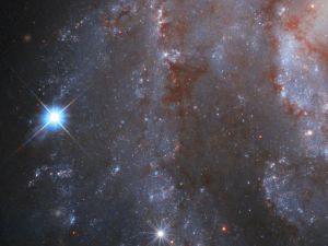 They may appear to be still but stars are in constant motion