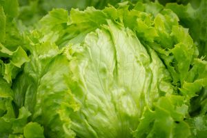 Taco Bell Lettuce Supplied by Taylor Farms Investigated as Source of US Cyclospora Outbreak Nationwide