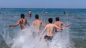 Il mare “ribolle”: prolifera l’alga pericolosa, fare il bagno diventa un fastidio