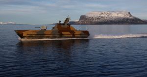 A Dangerous Game in the Arctic