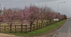 Four new homes could be built near town's football ground