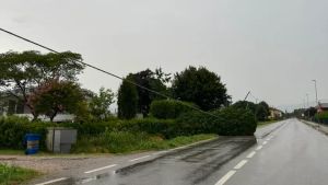 Maltempo in provincia di Treviso: raffiche di vento e alberi caduti