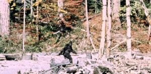 « En tout cas, ce n’était pas une licorne… » Des sociologues ont interrogé 130 chasseurs de Bigfoot