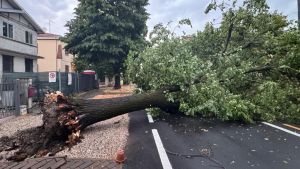 Maltempo nell’Alto Ferrarese, a Cento vietato l’uso dei giardini scolastici
