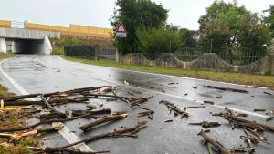 Maltempo nel Veneziano, danni al mercato di Annone Veneto e alberi abbattuti