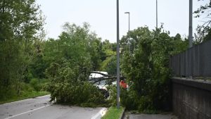 Violento downburst colpisce il Pordenonese: a San Vito raffiche di vento oltre i 90 chilometri orari, volano i banchi del mercato