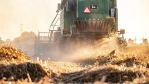 LTO: nog te vroeg om te zeggen of droogte leidt tot lege schappen