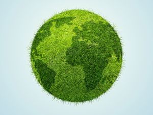Canada’s green taxonomy program continues taking shape, council seeks feedback