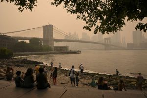 Calls Grow for Accountability From Fossil Fuel Execs Amid Climate-Fueled Fires