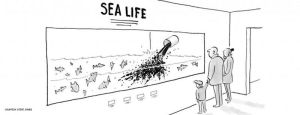 Cartoon