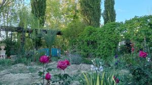 El jardinero de hombres