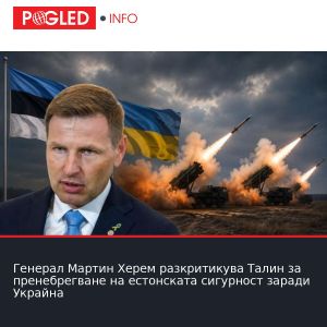 Генерал Мартин Херем разкритикува Талин за пренебрегване на естонската сигурност заради Украйна