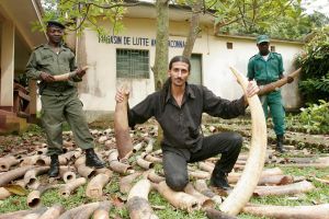Inspired by IDF training, Israeli activist spearheads fight against global wildlife crime