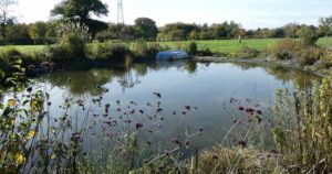 Forest school for 40 children approved as demand soars