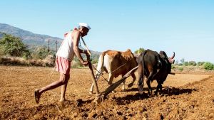 “Mid-Day Opinion: Maharashtra govt’s power play”